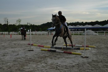 Show Jumping